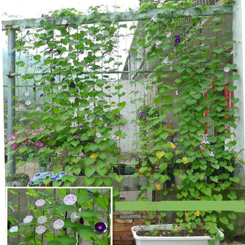 Nylon Mesh Horticulture Net for climbing plants