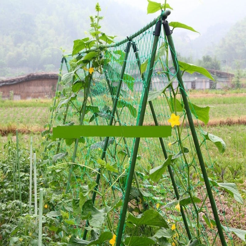 Nylon Mesh Horticulture Net for climbing plants