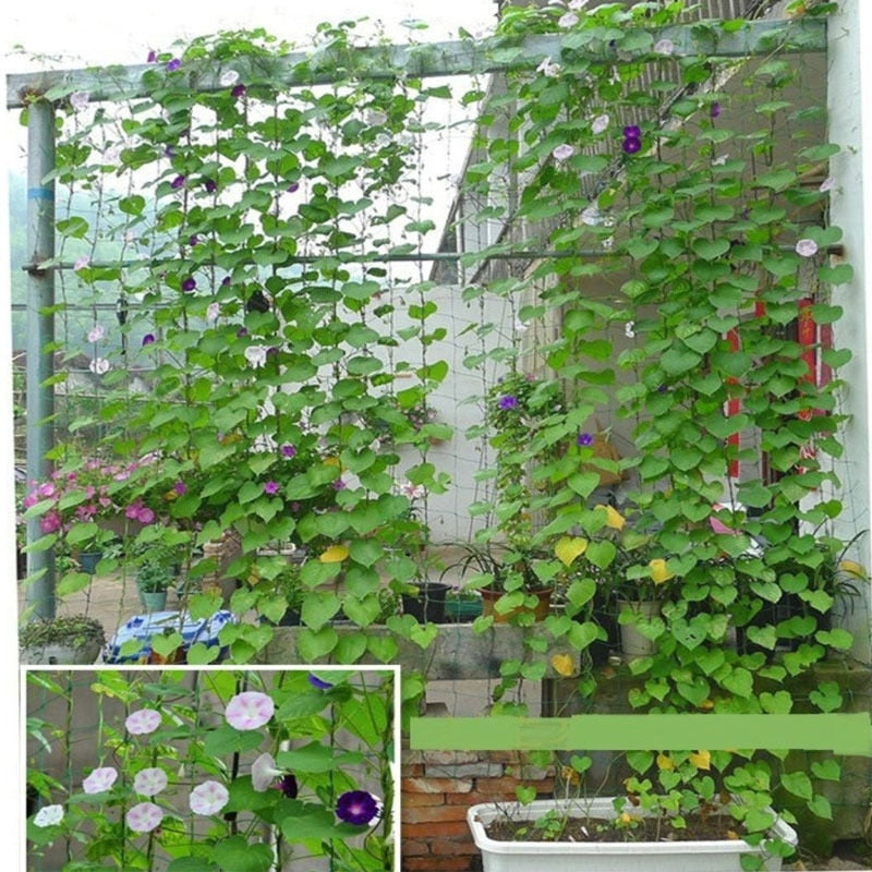 Nylon Mesh Horticulture Net for climbing plants