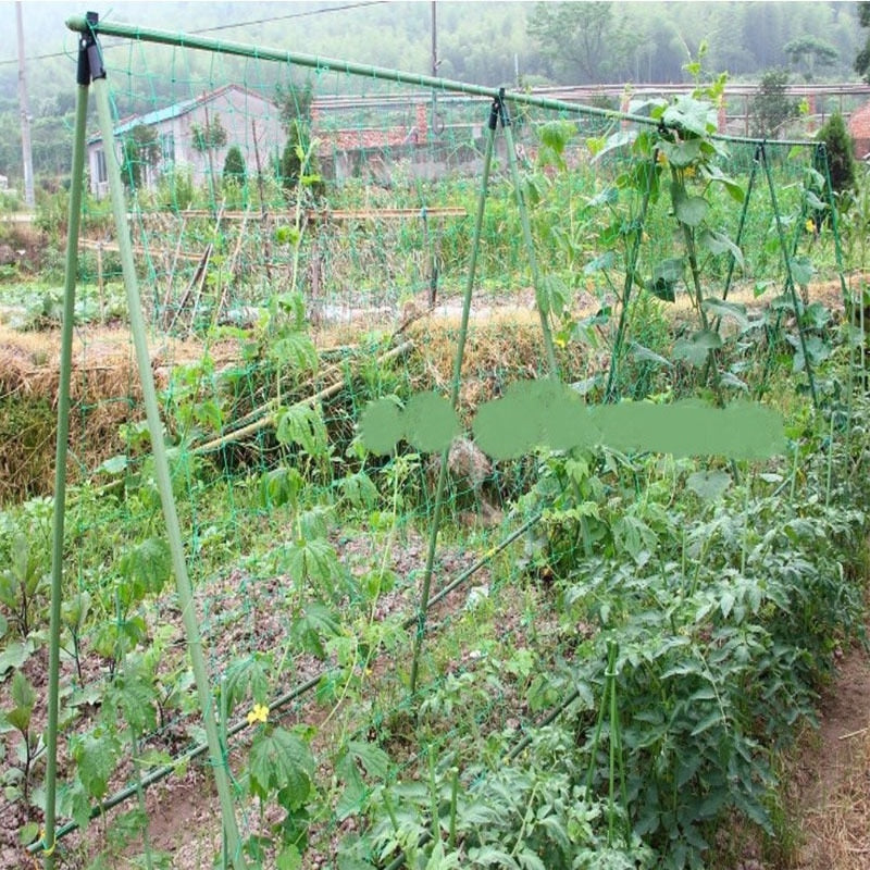 Nylon Mesh Horticulture Net for climbing plants